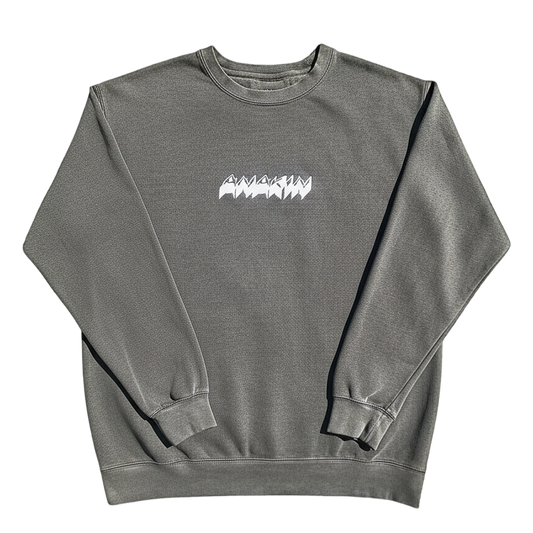 Embroidered Crewneck — Charcoal